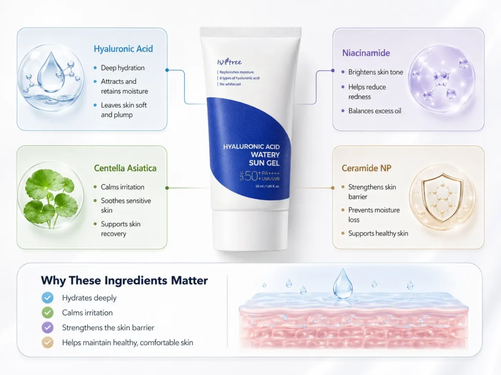 Isntree Hyaluronic Acid Watery Sun Gel ingredients infographic highlighting hyaluronic acid, niacinamide, centella asiatica, and ceramide NP